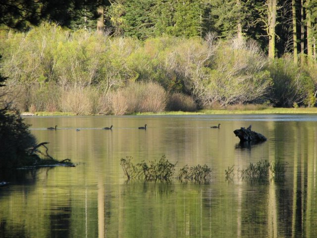 Manzanita Lake